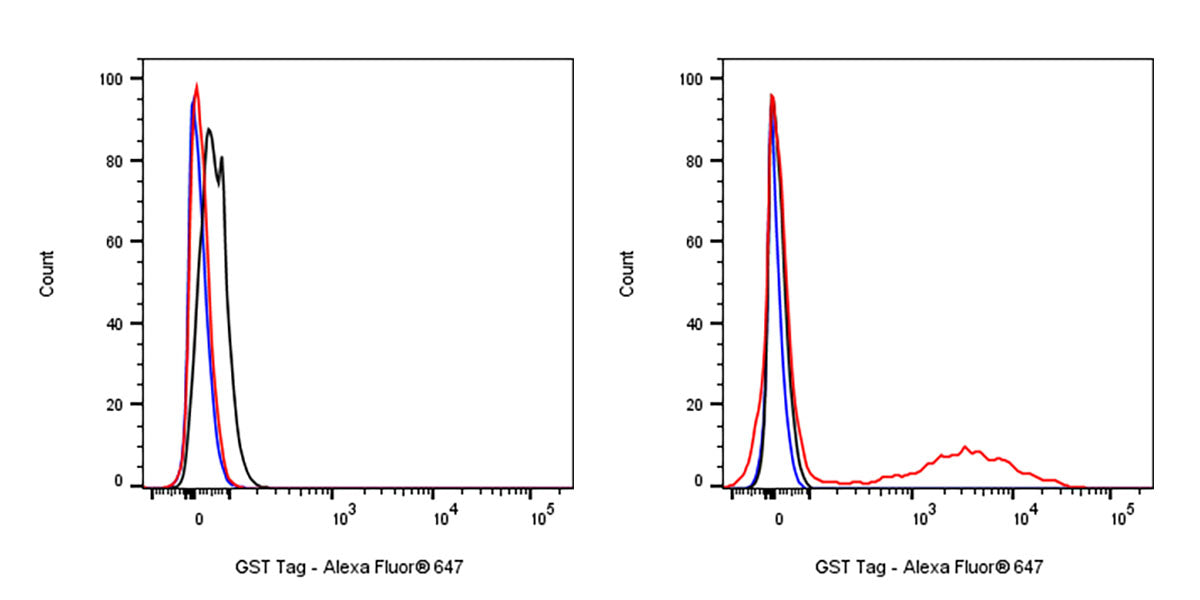 GST Tag Recombinant Rabbit mAb (Alexa Fluor® 647 Conjugate) (S-372-19)