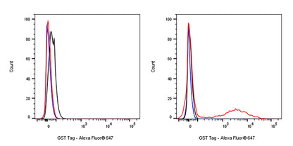 GST Tag Recombinant Rabbit mAb (Alexa Fluor® 647 Conjugate) (S-372-19)