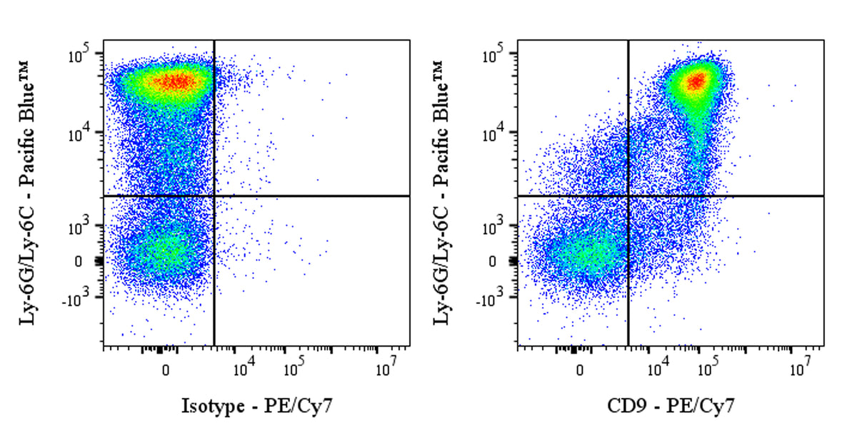 PE-Cy7 Rat Anti-Mouse CD9 Antibody (S-R652)