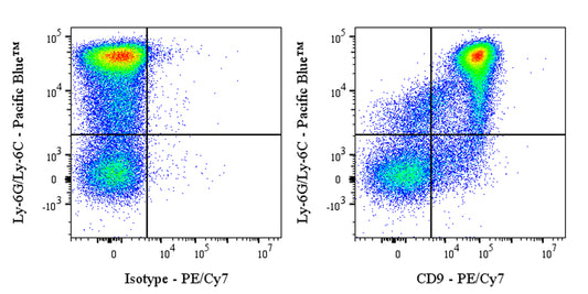 PE-Cy7 Rat Anti-Mouse CD9 Antibody (S-R652)