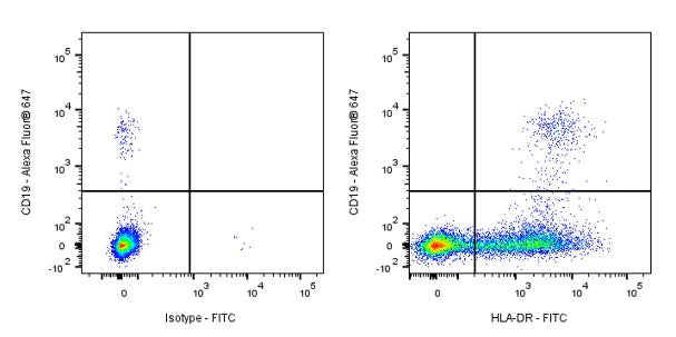 FITC Mouse Anti-Human HLA-DR Antibody (L243)