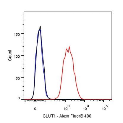 S-RMab® GLUT1 Recombinant Rabbit mAb (SDT-047-53)