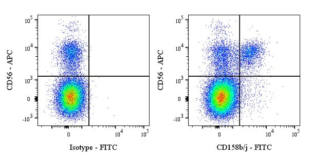 FITC Mouse Anti-Human CD158b/j Antibody (S-2917)