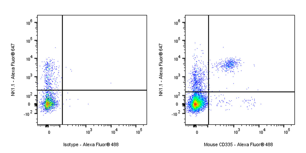 Rat Anti-Mouse CD335 Antibody (S-R613)