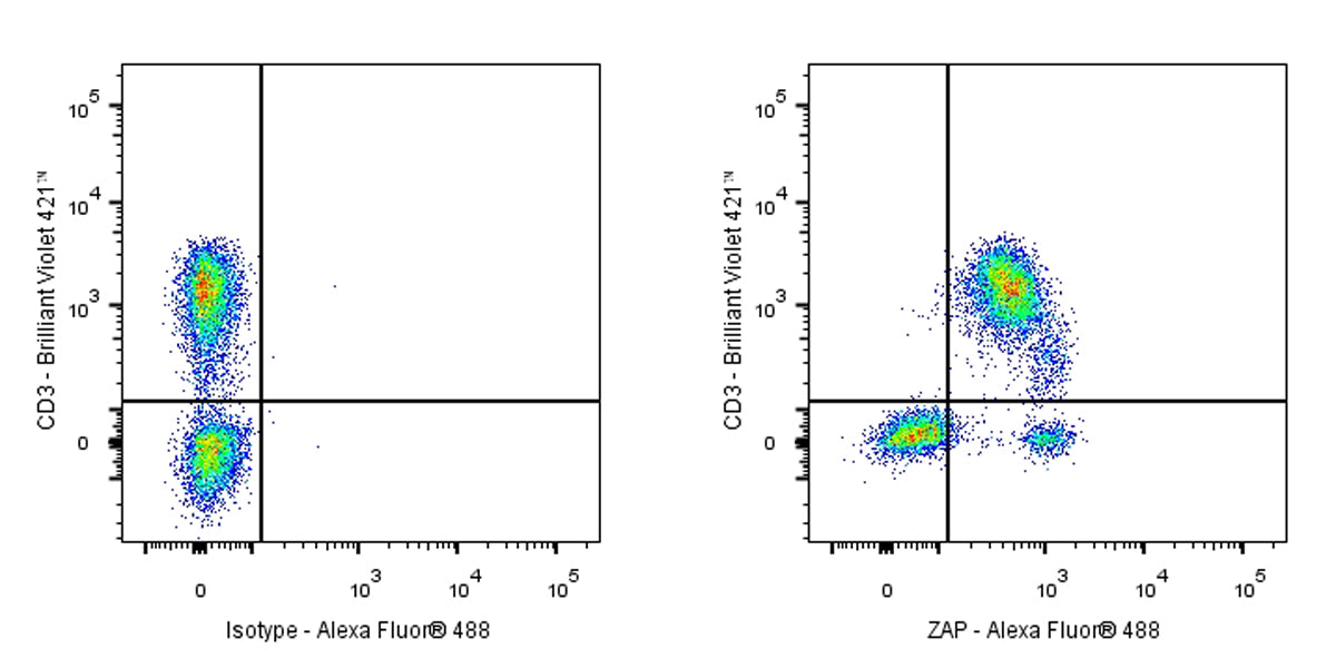FITC Mouse Anti-Human/Mouse ZAP-70 Antibody (1E7.2)