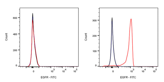 FITC Biosimilar Anti-Human EGFR Antibody (Cetuximab)