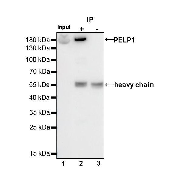 Product image media