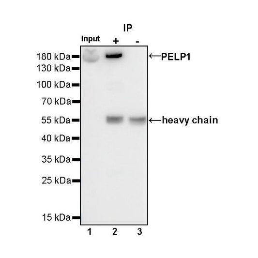 Product image media