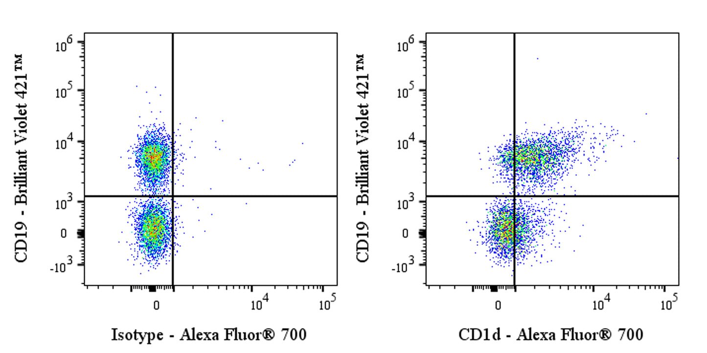 Alexa Fluor® 700 Rat Anti-Mouse CD1d Antibody (1B1)