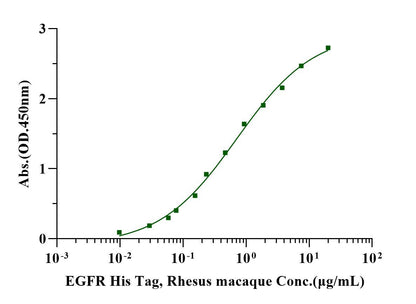 EGF Protein, Human