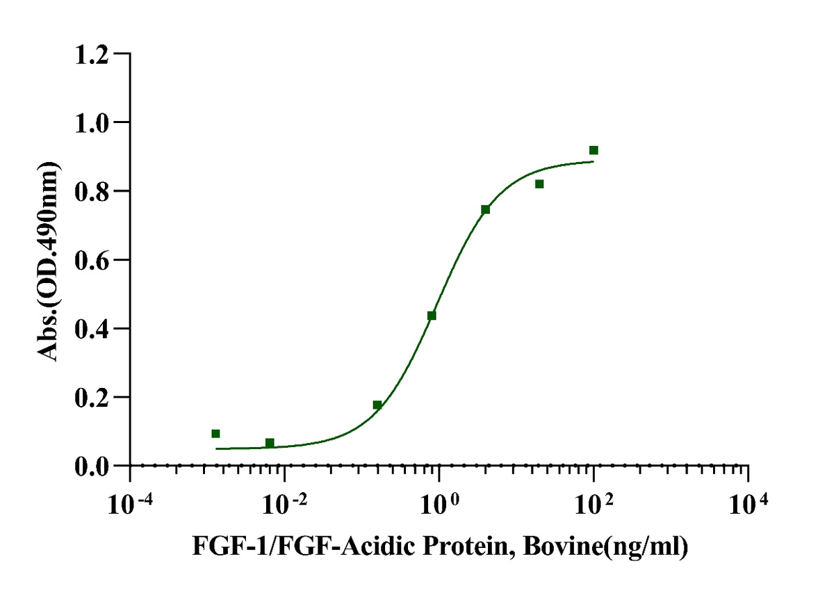 FGF-1/FGF-Acidic Protein, Bovine