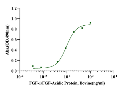 FGF-1/FGF-Acidic Protein, Bovine
