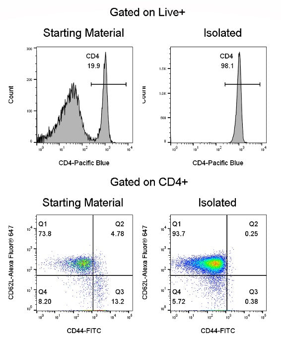 Mouse Naïve CD4 T Cell Isolation Kit (Column-Based)