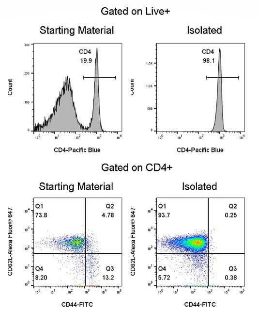 Mouse Naïve CD4 T Cell Isolation Kit (Column-Based)