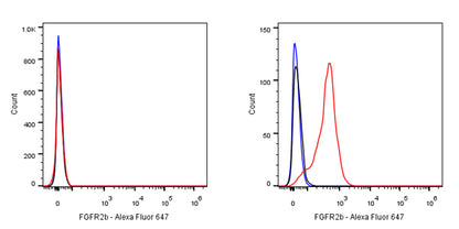FGFR2b Recombinant Rabbit mAb (SDT-423-2)
