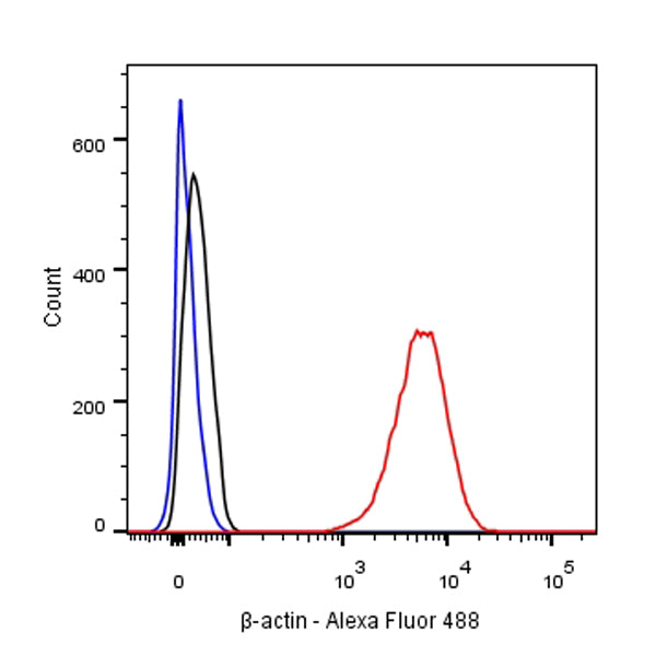 β-actin Rabbit mAb (SDT-R015)