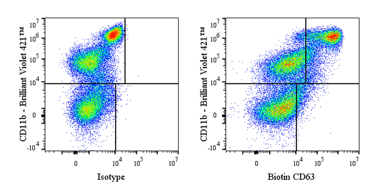 Biotin Rat Anti-Mouse CD63 Antibody (S-R667)
