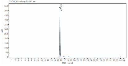 Noggin Protein, Human
