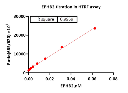 EPHB2 Protein