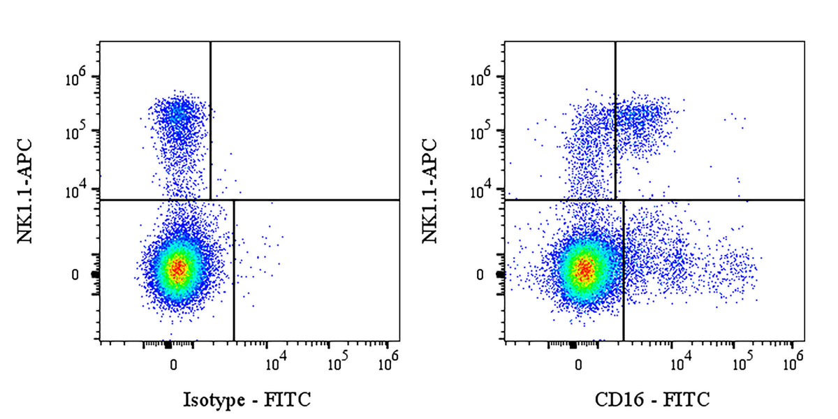 FITC Rat Anti-Mouse CD16 Antibody (S-5324)