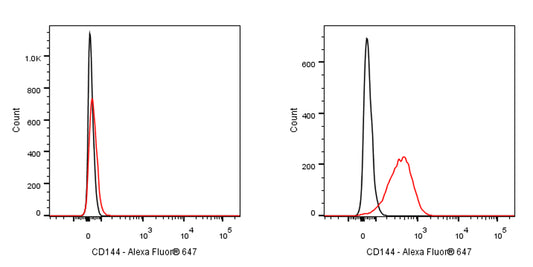 Alexa Fluor® 647 Rat Anti-Mouse CD144 Antibody (S-R719)