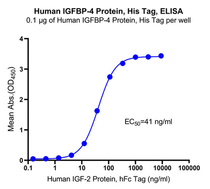 Human IGFBP-4 Protein, His Tag