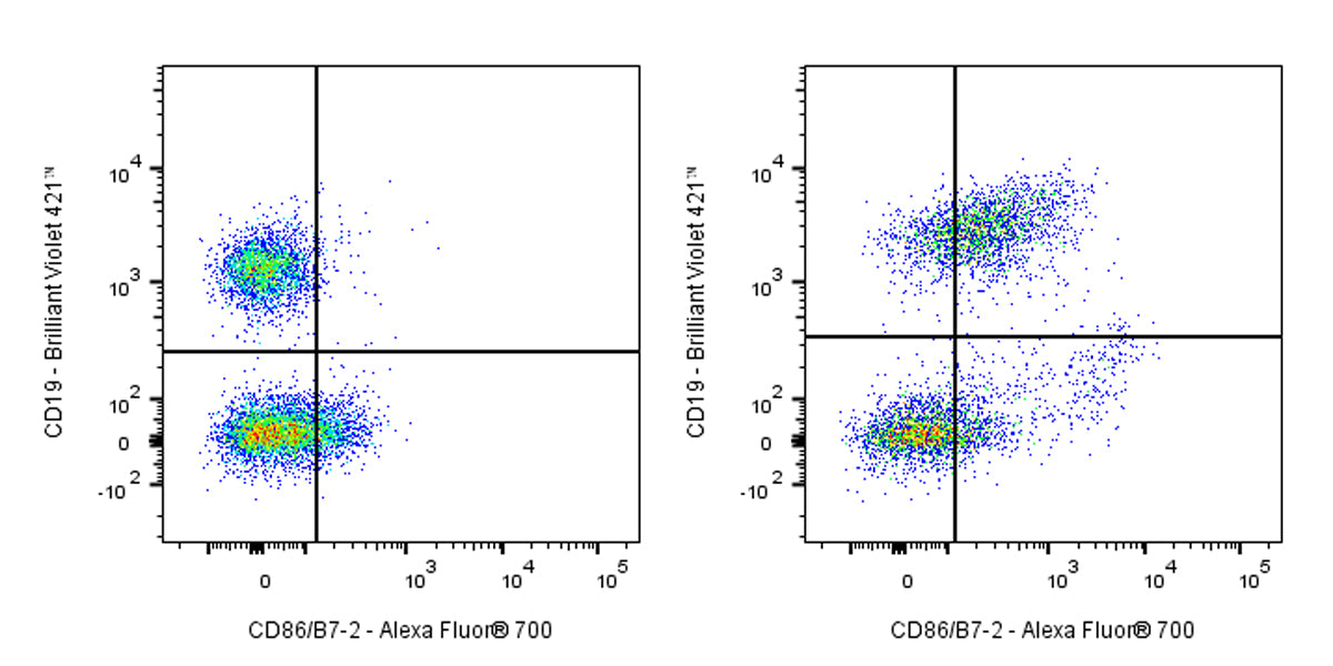 Alexa Fluor® 700 Rat Anti-Mouse CD86/B7-2 Antibody (GL-1)