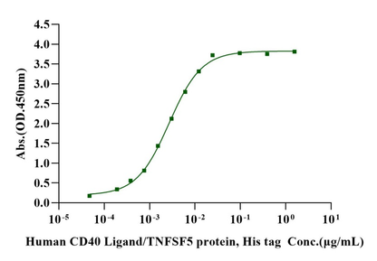 CD40/TNFRSF5 Fc Chimera Protein, Cynomolgus