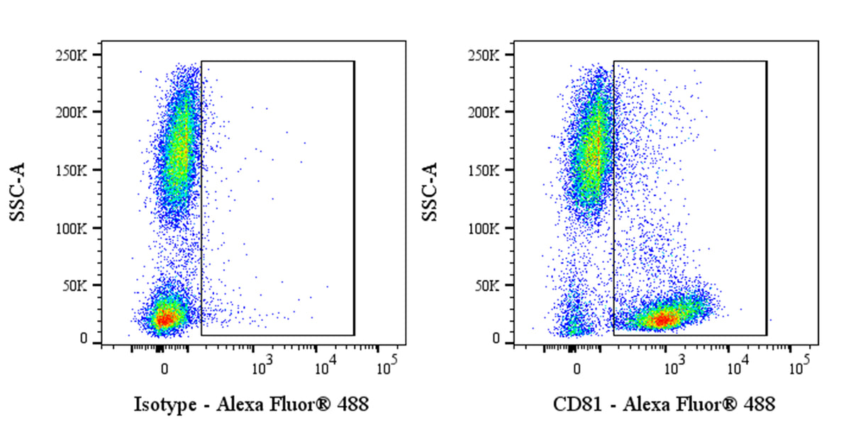 Alexa Fluor® 488 Mouse Anti-Human CD81 Antibody (5A6)