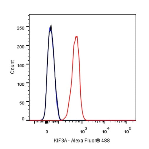 KIF3A Recombinant Rabbit mAb (S-1083-9)