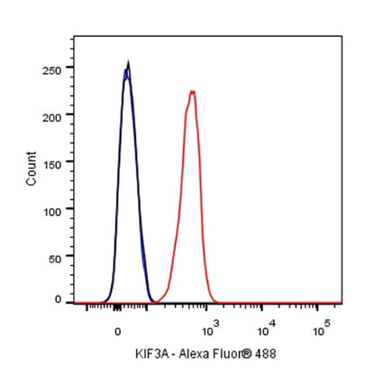 KIF3A Recombinant Rabbit mAb (S-1083-9)