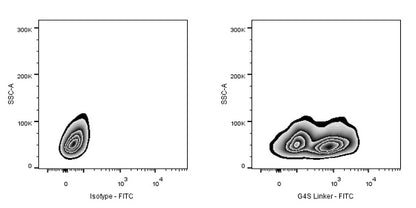 G4S Linker Recombinant Rabbit mAb (FITC Conjugate) (S-711-23)