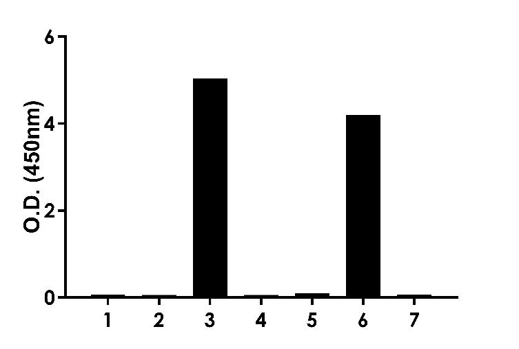 Human IgE OneStep ELISA Kit