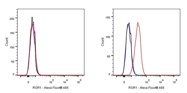 ROR1 Recombinant Rabbit mAb (SDT-R502)