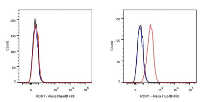 ROR1 Recombinant Rabbit mAb (SDT-R502)