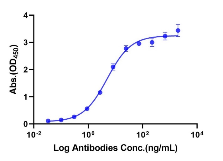 ErbB3/Her3 His Tag Protein, Human