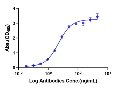 ErbB3/Her3 His Tag Protein, Human