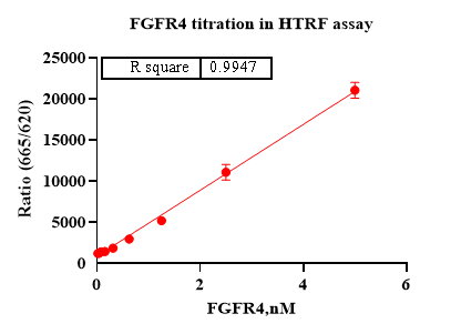FGFR4 Protein