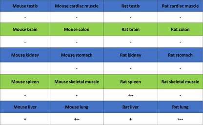 CEBPA Recombinant Rabbit mAb (S-3629-33)