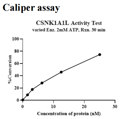CSNK1A1L His&GST Tag Protein, Human