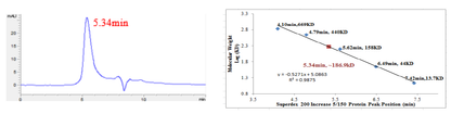 CDK2/Cyclin E2 Protein