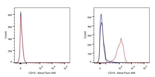 CD19 Recombinant Rabbit mAb (SDT-164-41)