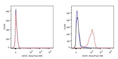 CD19 Recombinant Rabbit mAb (SDT-164-41)