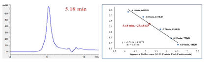 USP37 Protein