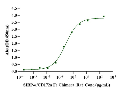 SIRP-α/CD172a Fc Chimera Protein, Rat