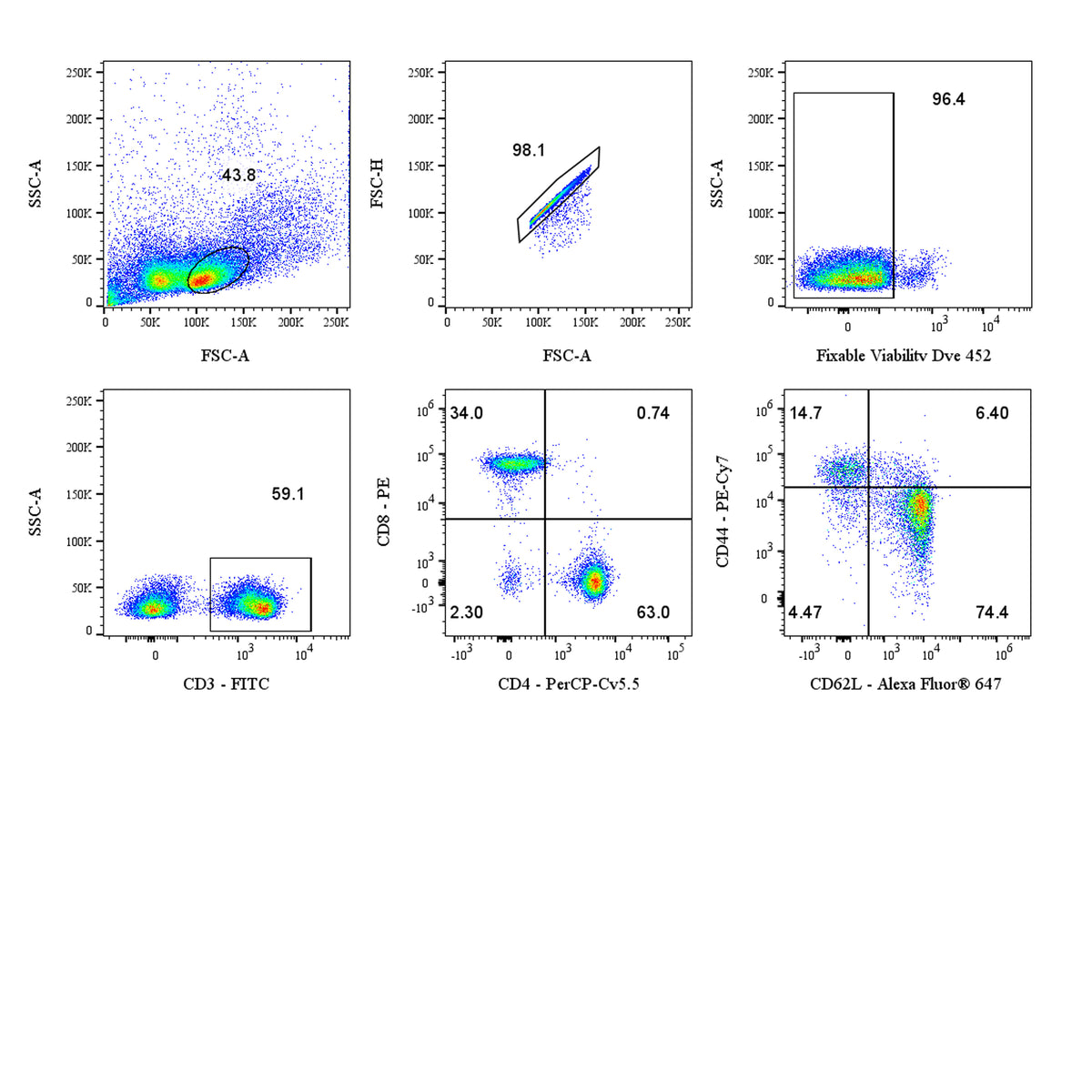 Mouse T Cell Subset Panel Kit