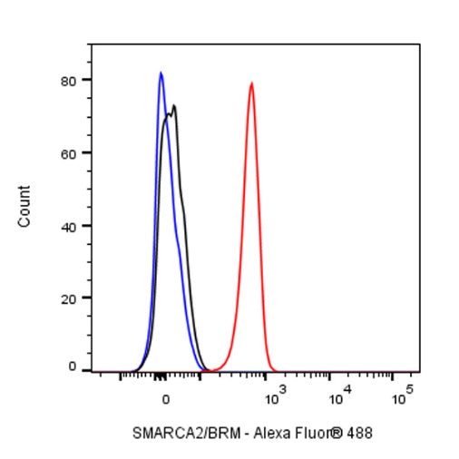 SMARCA2/BRM Recombinant Rabbit mAb (S-1568-17)