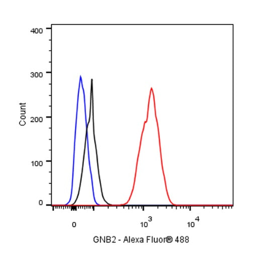 GNB2 Recombinant Rabbit mAb (S-645-10)