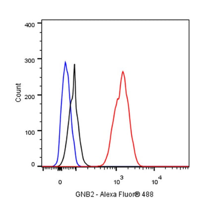GNB2 Recombinant Rabbit mAb (S-645-10)
