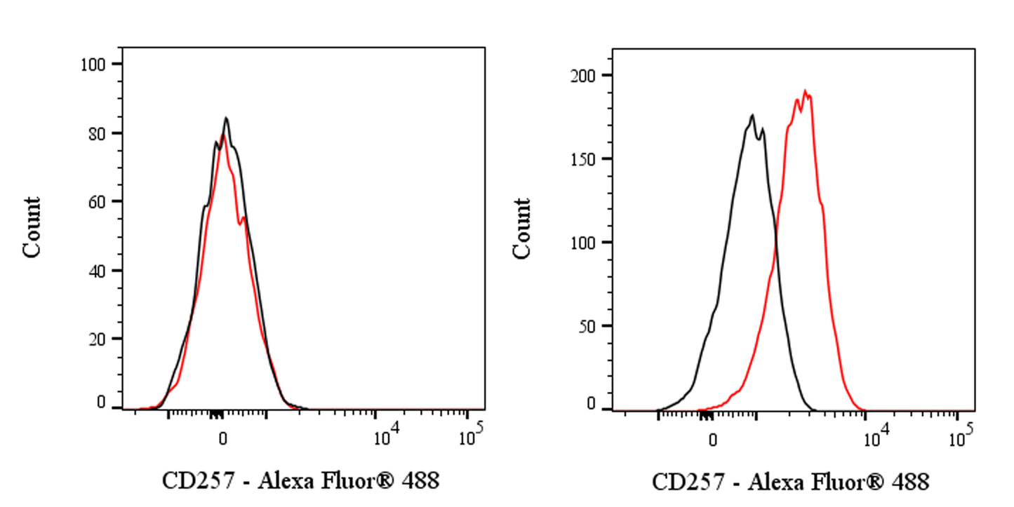 Alexa Fluor® 488 Mouse Anti-Human CD257 Antibody (S-3021)